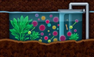 Die verborgene Welt der Klärgruben: Die faszinierende Rolle der Bakterien