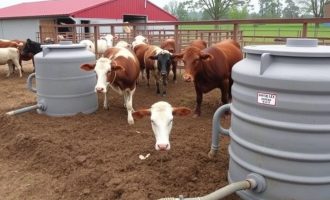 Klärgruben für landwirtschaftliche Betriebe und Viehbestände: Effiziente Abwasserlösung für die Agrarwirtschaft