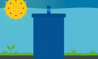 Septic Tank Bacteria: Why It’s Important for Your System’s Health