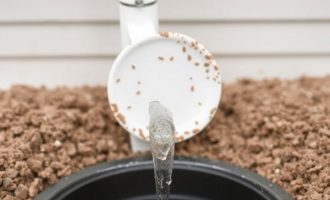 Septic Tank and Antibacterial Soap: Any Risks?