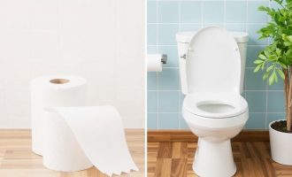 Septic Safe vs. Regular Toilet Paper: una guía clara para elegir sin sorpresas