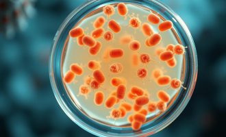 Bakterienaktivität steigern: entender, valorar y gestionar la vida microscópica que nos rodea
